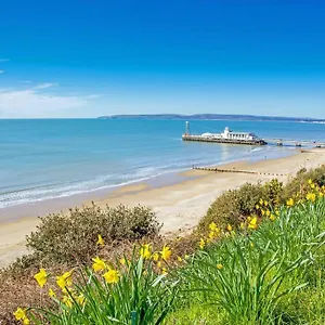 Bournecoast: Lovely Annex With Patio Nr Beach-5286 Apartment